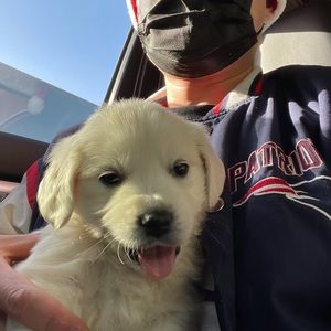 Meet your Posher, Pinyue